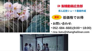 梨楠動画広告部-自社13求人09