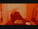軟体youtubeｒ対馬編集