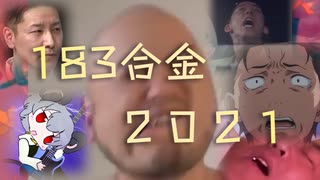 183合金2021