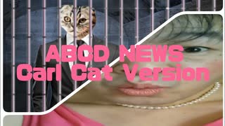 ABCD NEWS - Carl Cat Version