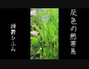 「灰色の熱帯魚」PV 躁鬱ひふみ