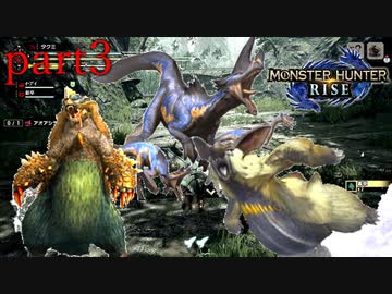 【実況】独りで狩りつくすモンスターハンターライズpart3