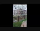 また定年延長かよ！/らじこ　Free　Talk　Native