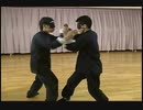 形意拳 安身砲 聴勁・二目平視