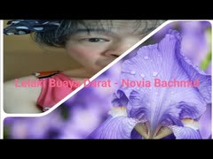 Lelaki Buaya Darat - Novia Bachmid