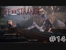 運命を巻き戻す少女『Life is Strange』Part14