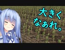 【FarmingSimulator19】琴葉姉妹が農業で天下を目指す＃15【VOICEROID実況】