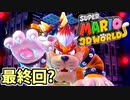 【スーパーマリオ3Dワールド】全力絶叫実況プレイ FINAL
