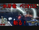 【実況】MHR＃10　やっぱりベリオロスはかっこいいわ！