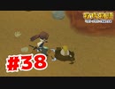 【実況】緩衝材リーゼント【牧場物語オリーブタウンと希望の大地】#38