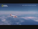 フィク騙シーズン21・Boeing 737MAX8