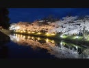 松本城周辺を一周、夜桜ライトアップ
