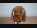しゃべるウサギを狗巻先輩にしてみた！！