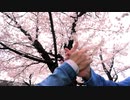 【先輩後輩の成長記録】春泥棒