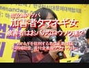 【みちのく壁新聞】2020/05-慰安婦内ゲバ、加害者タマネギ女、被害者はおバカなロウソク達？タマネギを批判する者は土着倭寇、不明補助金、寄付金着服ケンチャナヨーアーカイブ