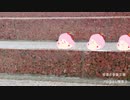 【ｾﾔﾅｰ劇場】とある親子セヤナーの平日