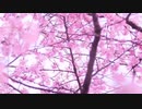 【弾き語り】花降らし(Covered by さ)