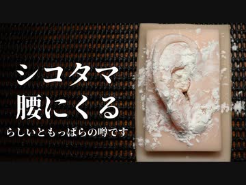 【ASMR】パウダーをしこたま使った耳のマッサージ【音フェチ】