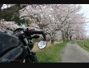 2021 Salvage Touring Report 2