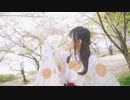 【きりり】夢と葉桜【踊ってみた】