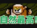 【実況】対環境保護プログラム(ロックマン2:VSウッドマン)