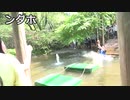SASUKEみたいな公園でターザンロープ大転倒！！【清水公園】