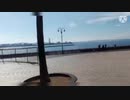 カイヅカシティに行ってきました