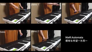 【電子マリンバ】NieR:Automata 曖昧ナ希望／氷雨を演奏してみました。