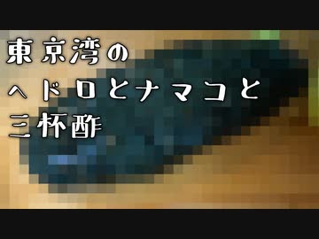 【料理】釣りに行ったらなんか引っかかったので食べます【なまこ酢】