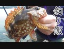 【ぴ】釣った魚と野草で豪華な昼食　自給自足　田舎暮らし
