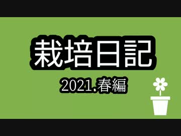 栽培日記 2021. 春編