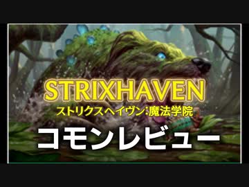 [MTG]パウパー目線で見る！「ストリクスヘイヴン：魔法学院」コモンレビュー[番外編]