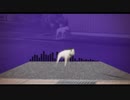 Haunted 4！って鳴く犬