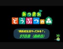 【N.Sw】” あつまれ どうぶつの森 ” 開拓者生活やってみる？　57日目 (最終日)　【生放送】