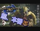 【双剣第一】モンスターハンターRISE#6（里クエ★２アオアシラ）