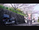 小春六花YA-6治す【CeVIO AI車載】