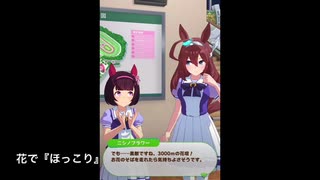 ミホノブルボンのホーム画面まとめ【ウマ娘プリティーダービー】