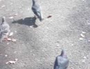 IMAG0027