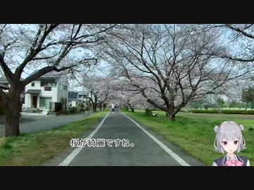 のんびりサイクリング　その２（多摩湖周回コース）