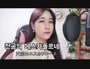 天空のエスカフローネ OST 坂本真綾 「光の中へ 」 韓国語 ver│ Cover by ジュエ