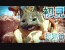 MHRise初見実況｜より砂漠らしくなった砂原にてクルルヤック&ボルボロス｜狩猟笛