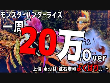 【MHR】上位水没林鉱石増殖稼ぎよくばりルート