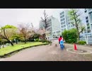 【ニコ生】ニコニコ幼稚園ツアーのお姉さん演じてやってみた！！2021年3月28日(日)一期一会上野歩きお花見オフ会⑦アミン主催者&ルーキーみなみの魔王&デイヴ。エヴァゲリオンコスプレコラボ♪