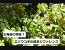 【スパイスを知ろう！】エゾウコギを知ろう！【part126】