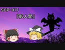 SCPを自分なりに解釈して説明してみる017【影人間】