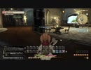 FINAL FANTASY XIV を３日間だけ小説SIF作者ハスキーがプレーしてみた。2日目１