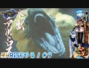 【実況】MHRISEやる！【9】