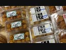 2021/04/05放送【3日目道の駅 北浦街道 豊北】猫と車中泊　日本縦断　サイコロの旅　北海道にたどり着けるか？【旅猫あずき～保護猫から旅猫へ～】