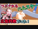 広告詐欺でよかった！ハムスターはつぶされなかった！