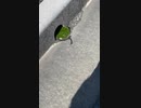 日常、何気なく観た景色が楽しい
